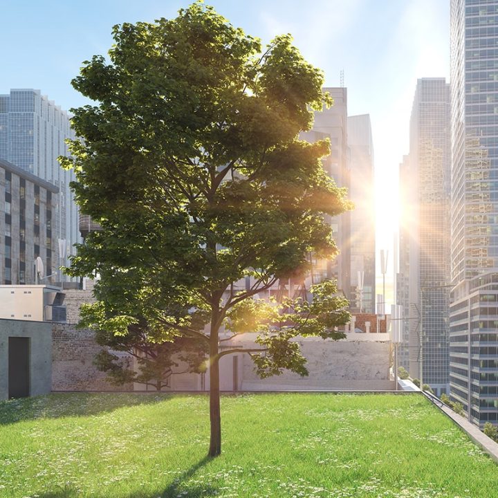 3d rendering. garden in a big city. living concept.